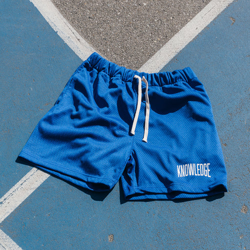 Knowledge Jersey Mesh Shorts, Blue